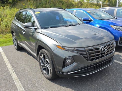 Used 2024 Hyundai Tucson Limited AWD/4WD image 1