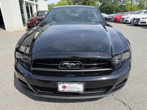 Used 2014 Ford Mustang Premium w/ Equipment Group 202A RWD image 2