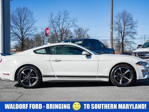 Used 2021 Ford Mustang Coupe w/ Equipment Group 101A image 3