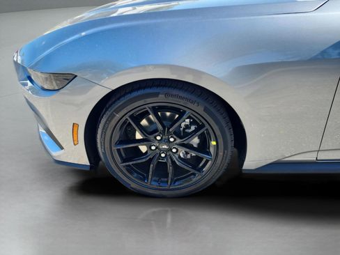 New 2026 Ford Mustang Coupe w/ Mustang Nite Pony Package RWD image 30