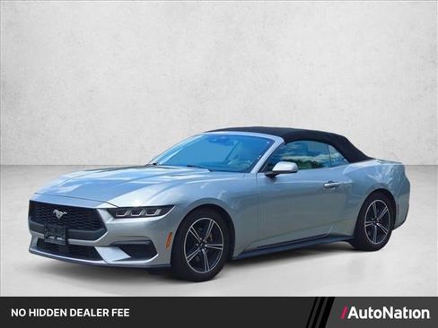 Used 2024 Ford Mustang Premium RWD image 1