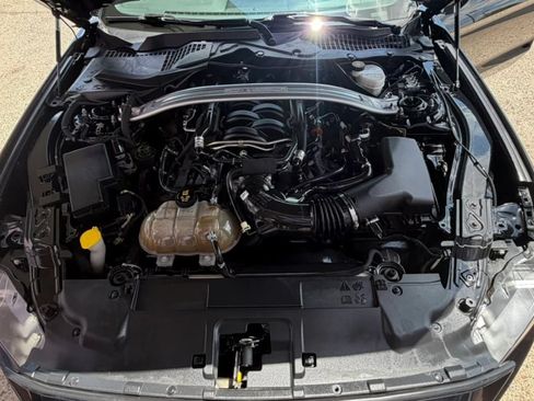 Used 2019 Ford Mustang GT Premium w/ Equipment Group 401A RWD image 22