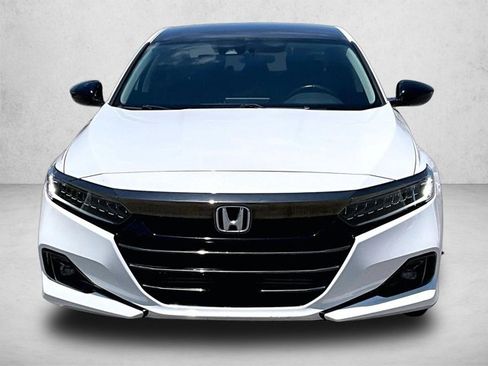 Used 2021 Honda Accord Sport Special Edition image 3