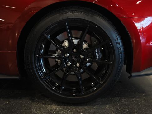 Used 2019 Ford Mustang Shelby GT350 w/ Technology Package RWD image 12