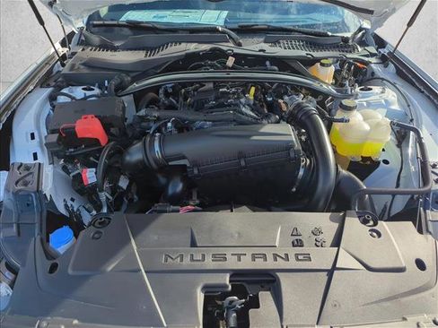 New 2025 Ford Mustang Premium image 17