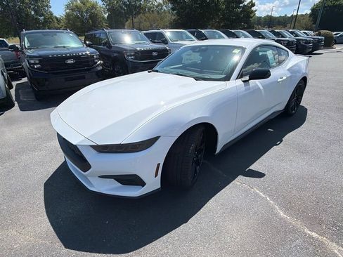 New 2026 Ford Mustang Coupe w/ Mustang Nite Pony Package RWD image 16