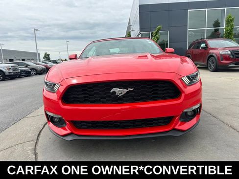 Used 2017 Ford Mustang Premium w/ Ecoboost Performance Package RWD image 3