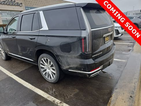 Certified 2025 Cadillac Escalade Premium Luxury Platinum image 5