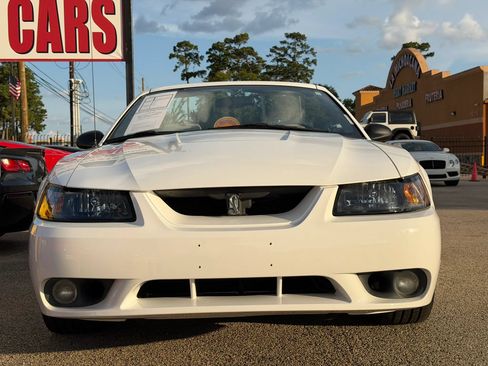 Used 1999 Ford Mustang Cobra RWD image 4