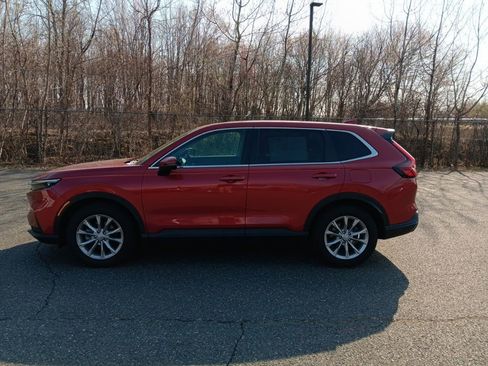 Used 2025 Honda CR-V EX-L image 2