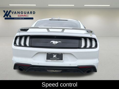 Used 2023 Ford Mustang Premium w/ Equipment Group 201A RWD image 5