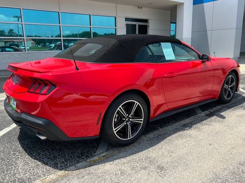 Used 2024 Ford Mustang Premium RWD image 3