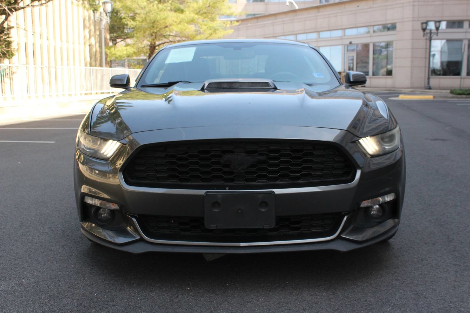 Used 2016 Ford Mustang Premium RWD image 3