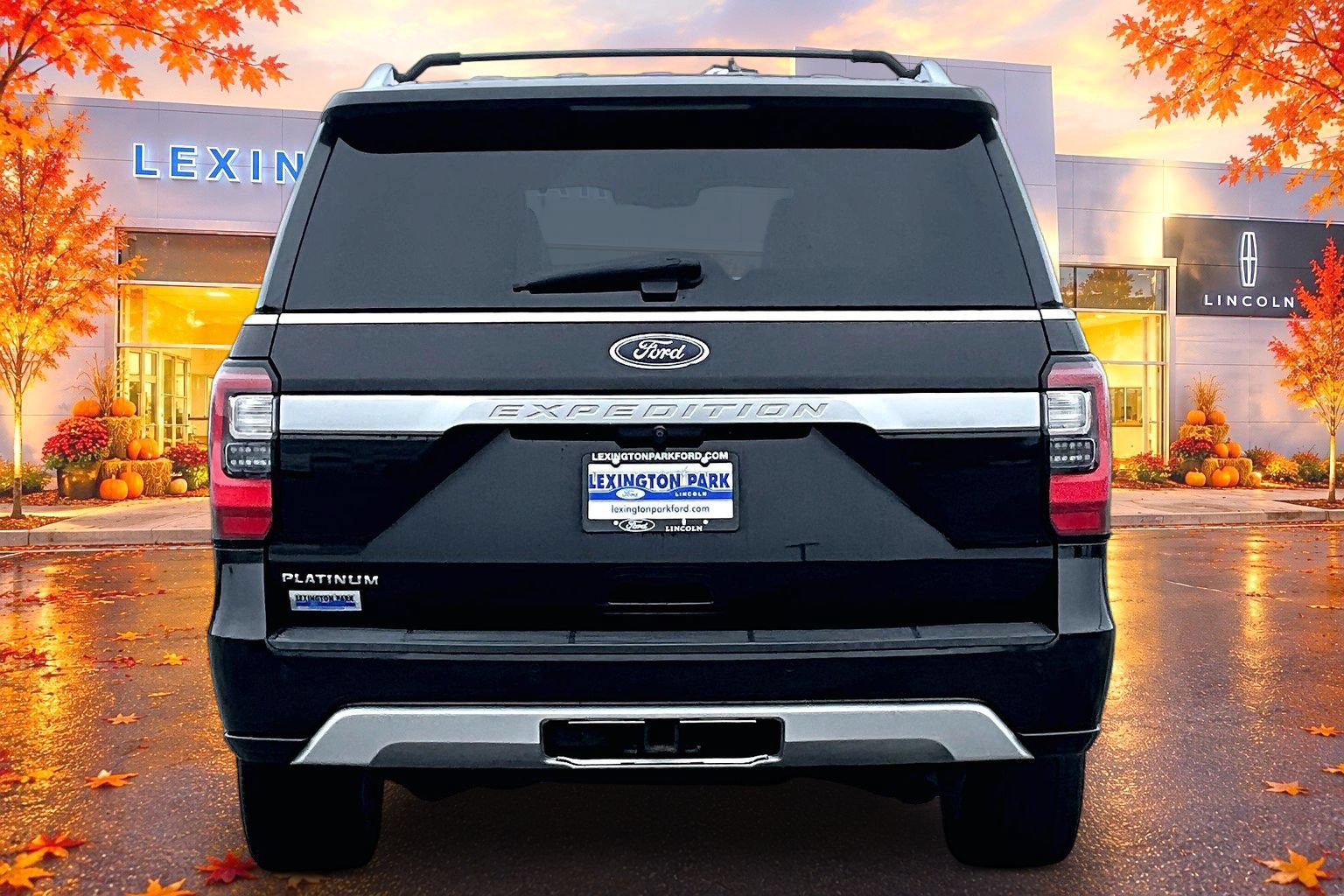 Used 2019 Ford Expedition Platinum AWD/4WD image 6