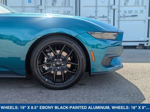New 2026 Ford Mustang Premium w/ Mustang Nite Pony Package RWD image 13