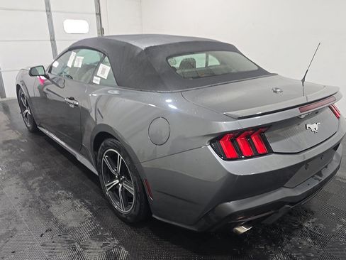 Used 2025 Ford Mustang Premium RWD image 6