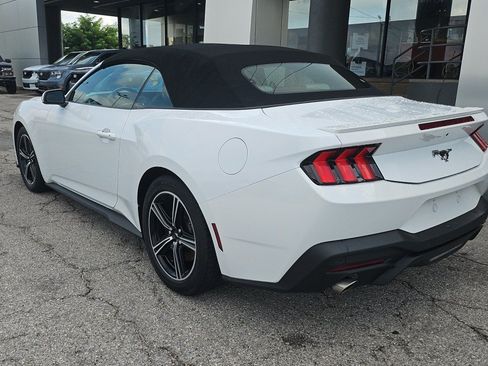 Used 2024 Ford Mustang Premium RWD image 3