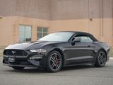 Used 2021 Ford Mustang Premium image 3