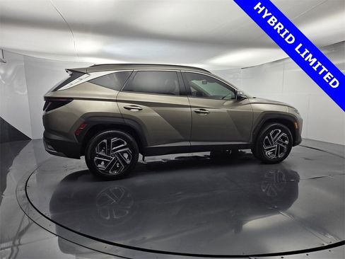 Used 2025 Hyundai Tucson Limited image 14