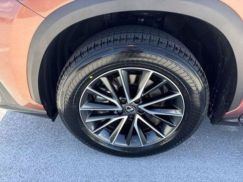 Certified 2025 Lexus NX 250 FWD w/ Cold Area Package image 10