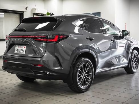 Used 2024 Lexus NX 250 FWD w/ Cold Area Package image 6