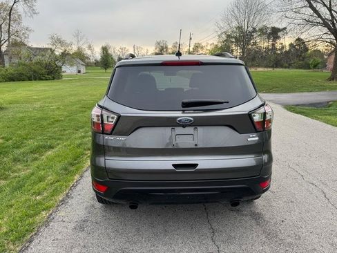Used 2017 Ford Escape SE w/ SE Sport Appearance Package image 6