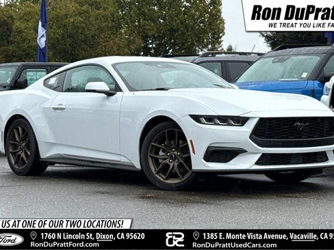 Used 2024 Ford Mustang Premium image 1