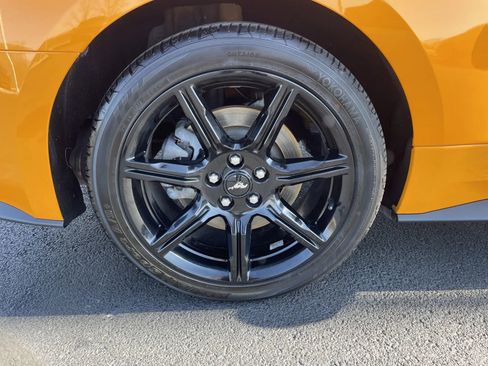 Used 2019 Ford Mustang GT w/ Equipment Group 301A image 15