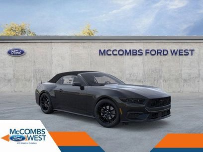 New 2025 Ford Mustang Convertible w/ Mustang Nite Pony Package