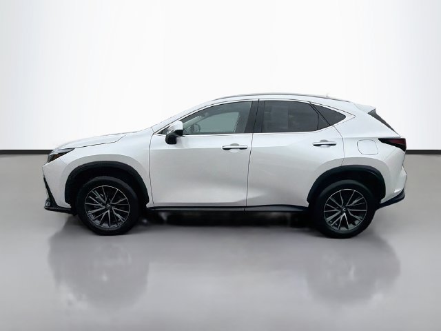 Certified 2024 Lexus NX 350h AWD image 4