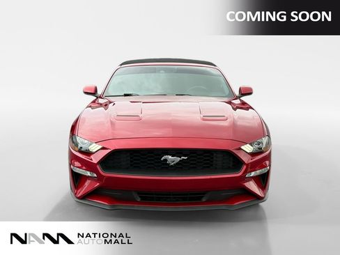 Used 2020 Ford Mustang Premium w/ Equipment Group 201A RWD image 8