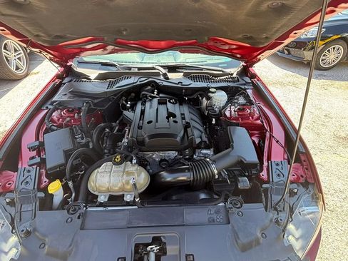 Used 2019 Ford Mustang Coupe RWD image 18