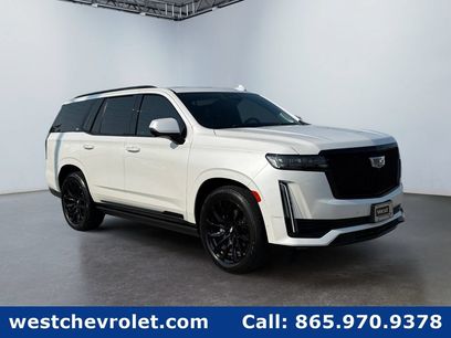 Used 2024 Cadillac Escalade Sport Platinum w/ LPO, ONYX Package