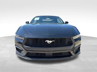 Used 2024 Ford Mustang Premium RWD video 2