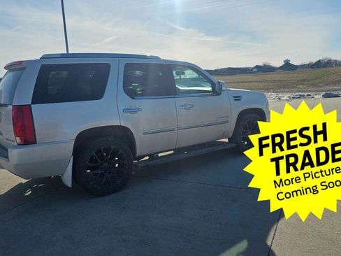 Used 2014 Cadillac Escalade Platinum image 5