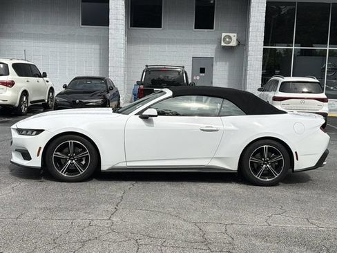 Used 2024 Ford Mustang Premium RWD image 2