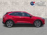Used 2022 Ford Escape SEL image 3