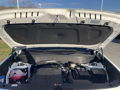 New 2026 Hyundai Palisade Calligraphy image 17