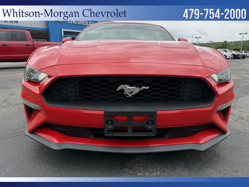 Used 2019 Ford Mustang Coupe RWD image 4