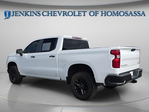 Used 2024 Chevrolet Silverado 1500 Custom Trail Boss AWD/4WD image 7