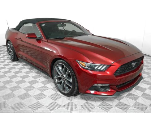 Used 2016 Ford Mustang Premium w/ Equipment Group 201A RWD image 3
