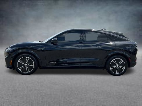 Used 2023 Ford Mustang Mach-E Premium RWD image 3