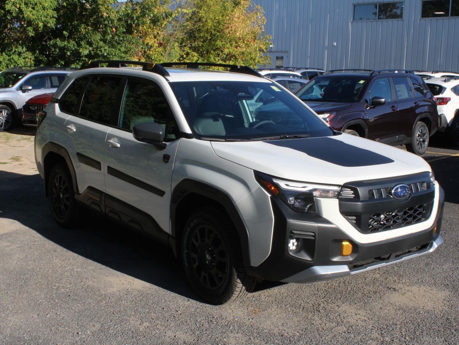 New 2026 Subaru Forester Wilderness AWD/4WD image 3