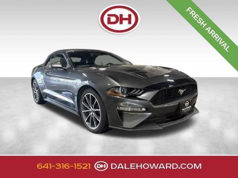 Used 2019 Ford Mustang Premium w/ Equipment Group 201A RWD image 1