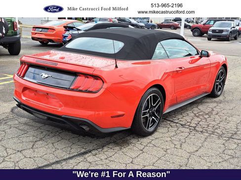 Used 2023 Ford Mustang Premium image 5