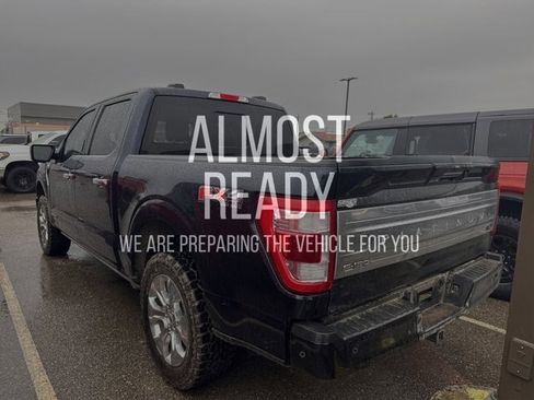 Certified 2023 Ford F150 Platinum w/ Equipment Group 701A High image 3