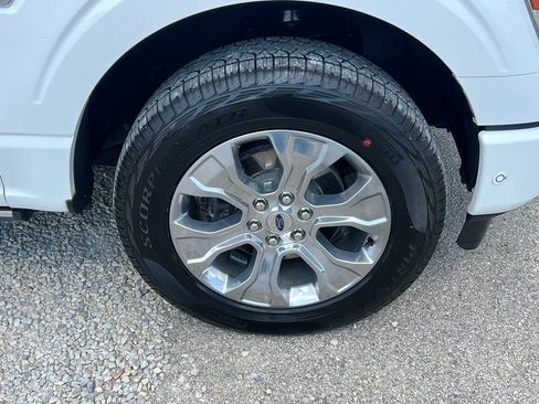 Used 2021 Ford F150 Platinum w/ Equipment Group 701A High AWD/4WD image 10