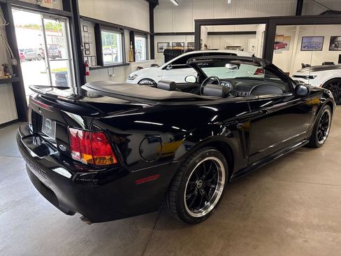 Used 1999 Ford Mustang Cobra RWD image 13