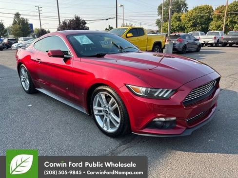 Used 2016 Ford Mustang Premium w/ Equipment Group 201A RWD image 3