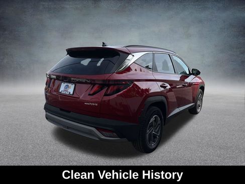 Used 2025 Hyundai Tucson Blue AWD/4WD image 6
